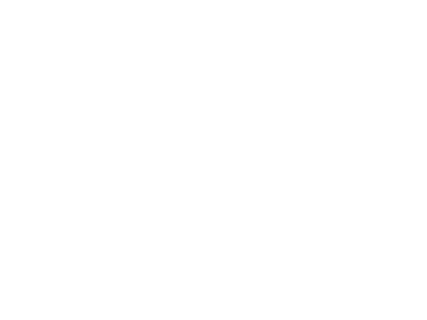 Swisspacer